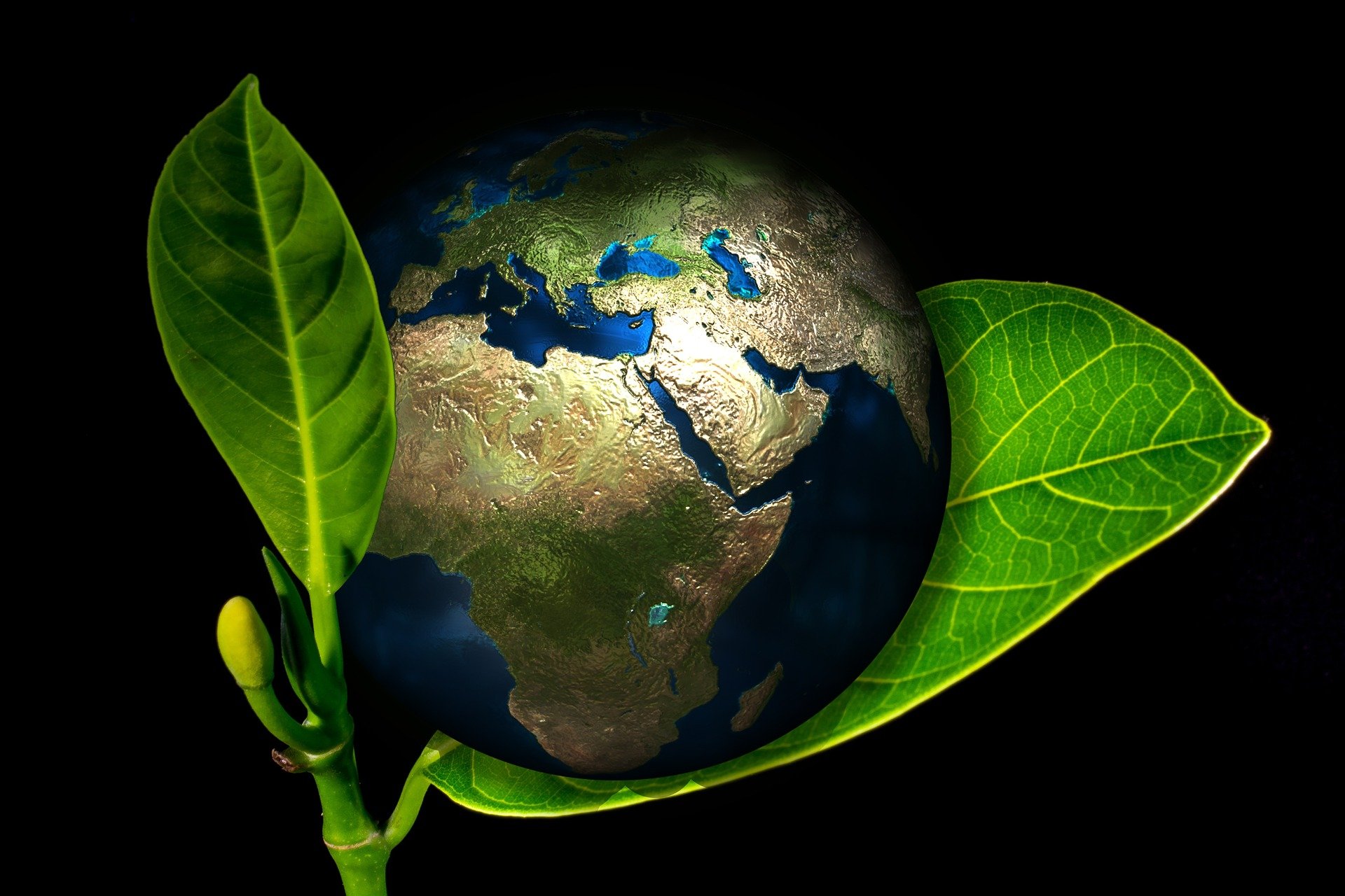 earth-405096_1920